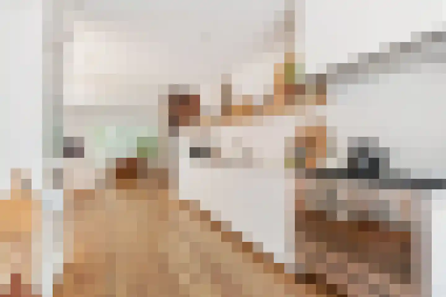 Rembrandtweg 20 Noordwijk thumbnail 41
