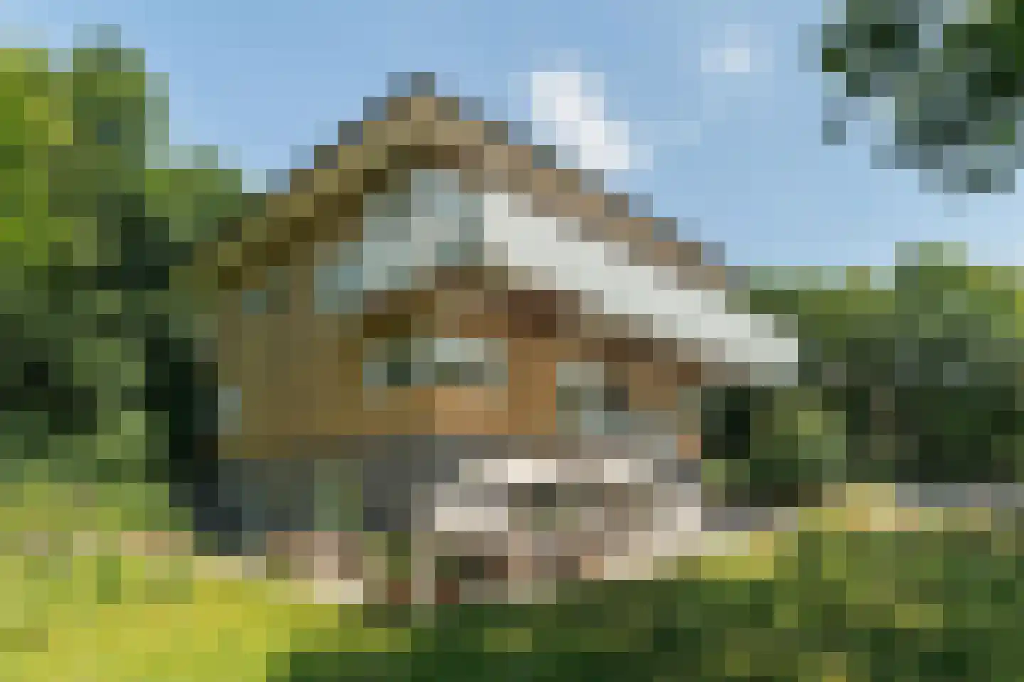 Rembrandtweg 20 Noordwijk thumbnail 6