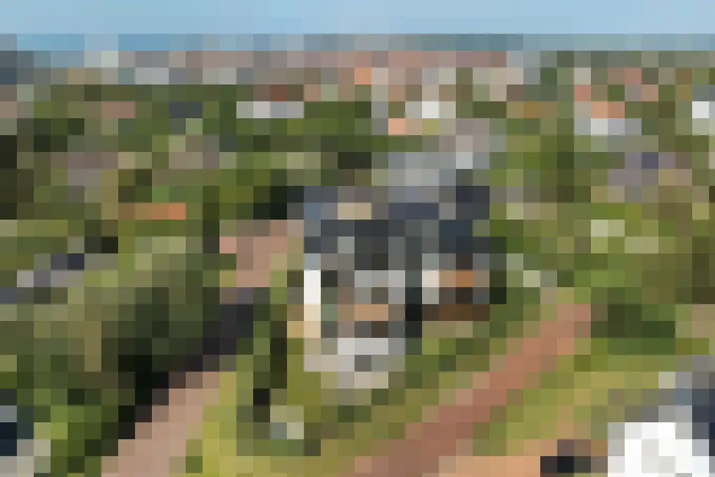 Rembrandtweg 26 F Noordwijk thumbnail 32