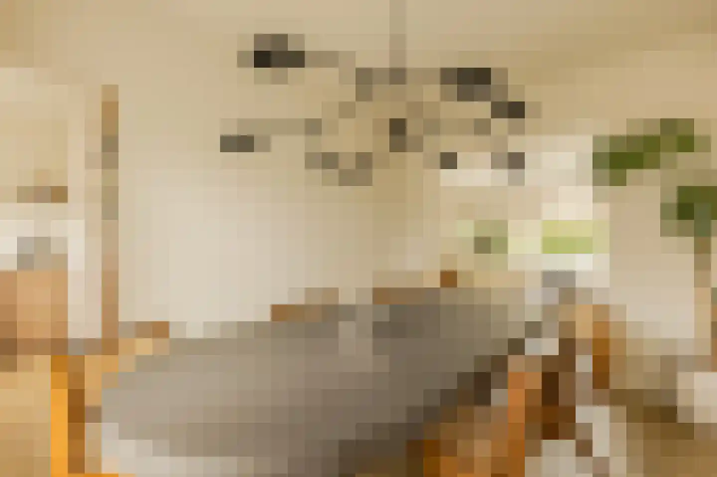 Rembrandtweg 302 Amstelveen thumbnail 23