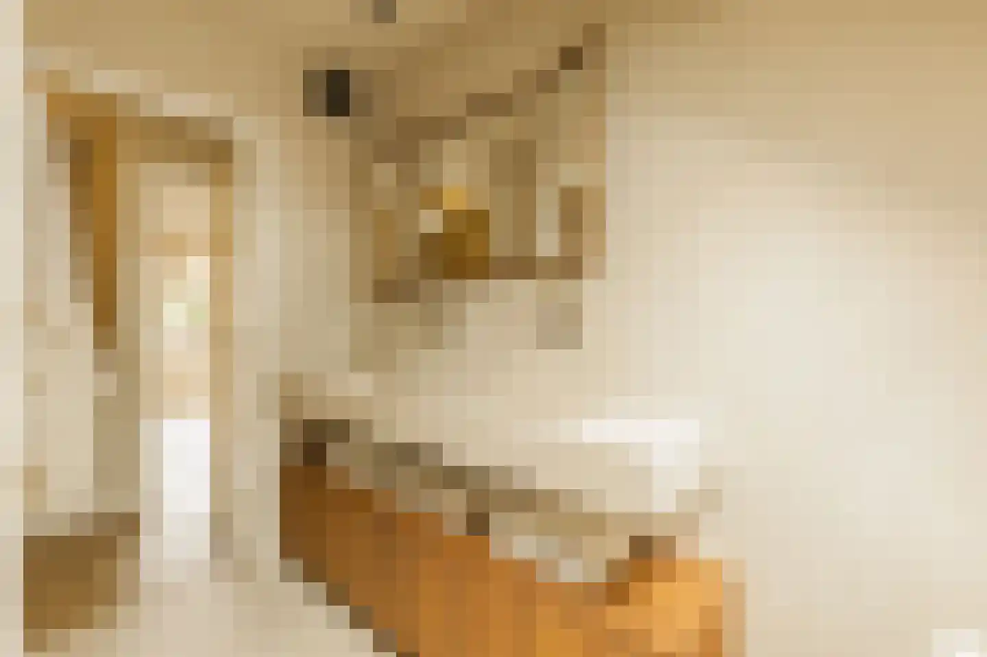 Rembrandtweg 302 Amstelveen thumbnail 38