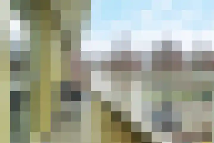 Rembrandtweg 319 Ridderkerk thumbnail 26