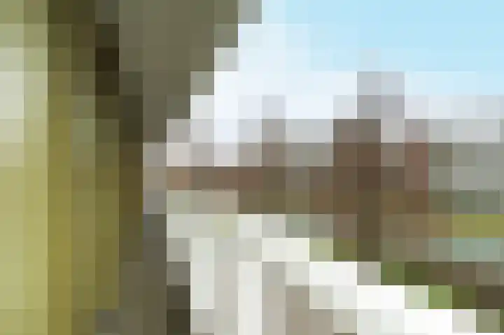 Rembrandtweg 319 Ridderkerk thumbnail 28