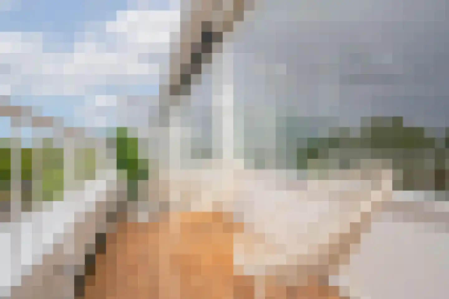 Rembrandtweg 338 Amstelveen thumbnail 30