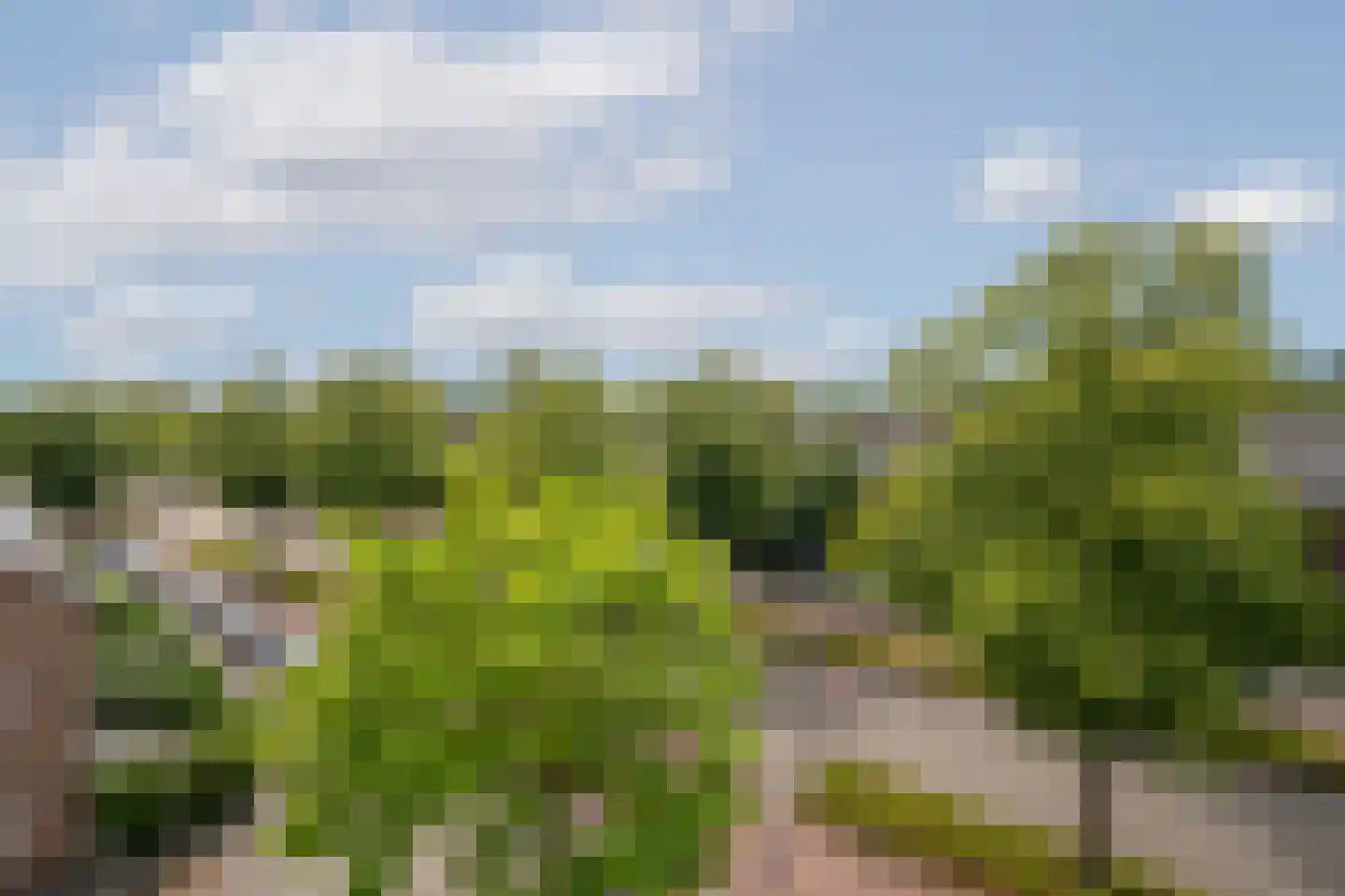 Rembrandtweg 338 Amstelveen thumbnail 32