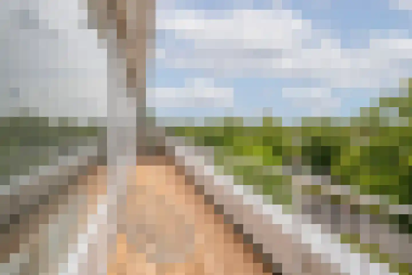 Rembrandtweg 338 Amstelveen thumbnail 33
