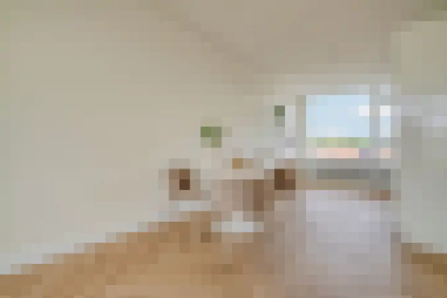 Rembrandtweg 338 Amstelveen thumbnail 7