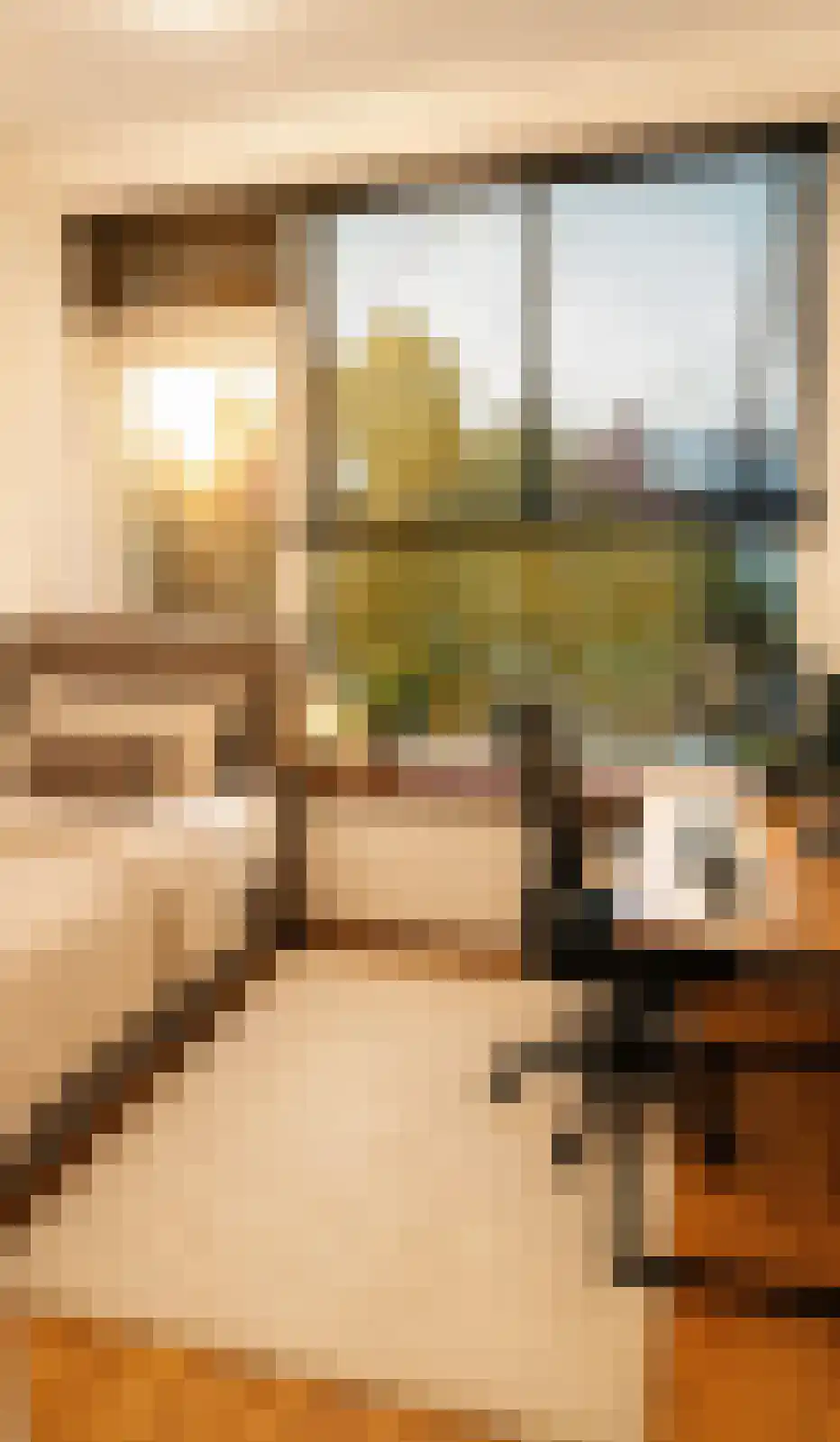 Rembrandtweg 342 Amstelveen thumbnail 9