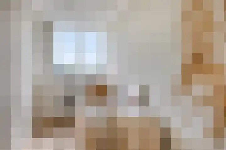 Rembrandtweg 346 Amstelveen thumbnail 11