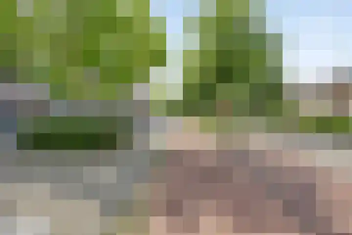 Rembrandtweg 346 Amstelveen thumbnail 16
