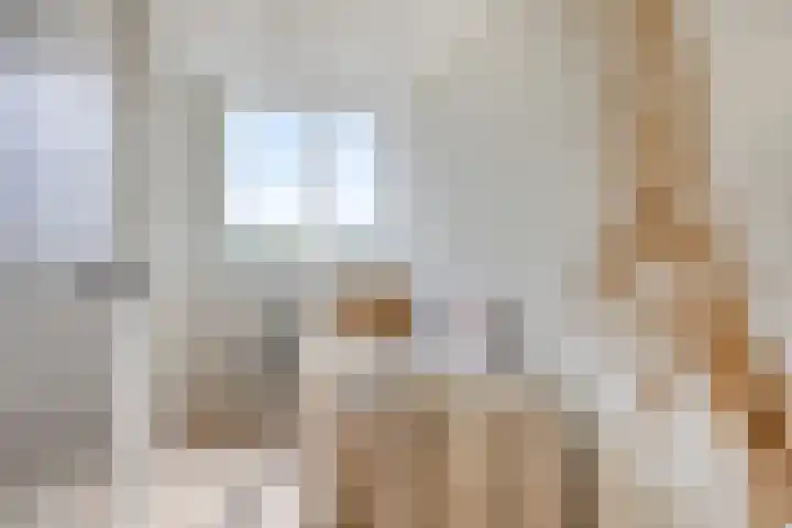 Rembrandtweg 346 Amstelveen thumbnail 30