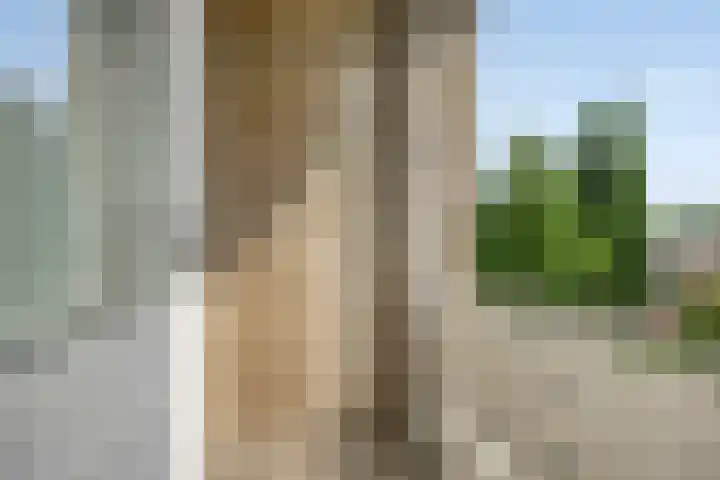 Rembrandtweg 346 Amstelveen thumbnail 32