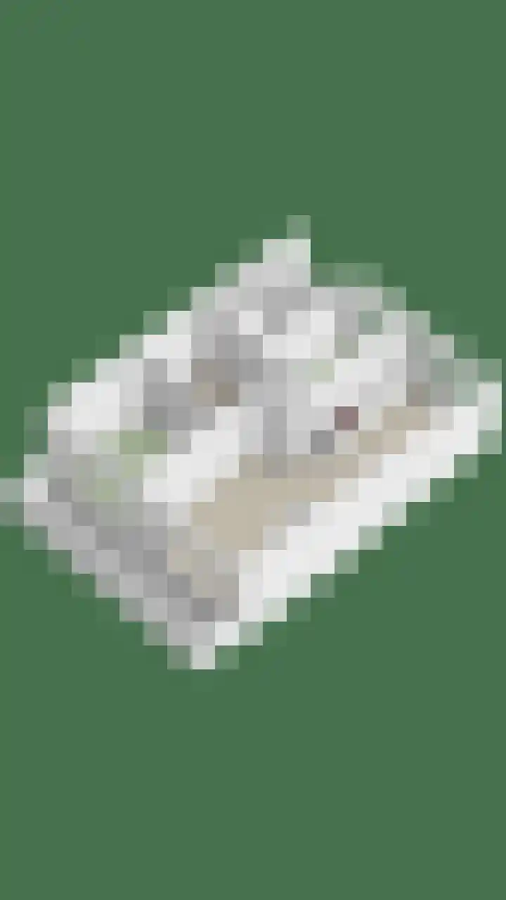 Rembrandtweg 346 Amstelveen thumbnail 34