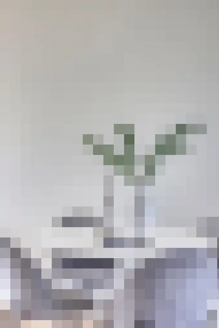 Rembrandtweg 346 Amstelveen thumbnail 39
