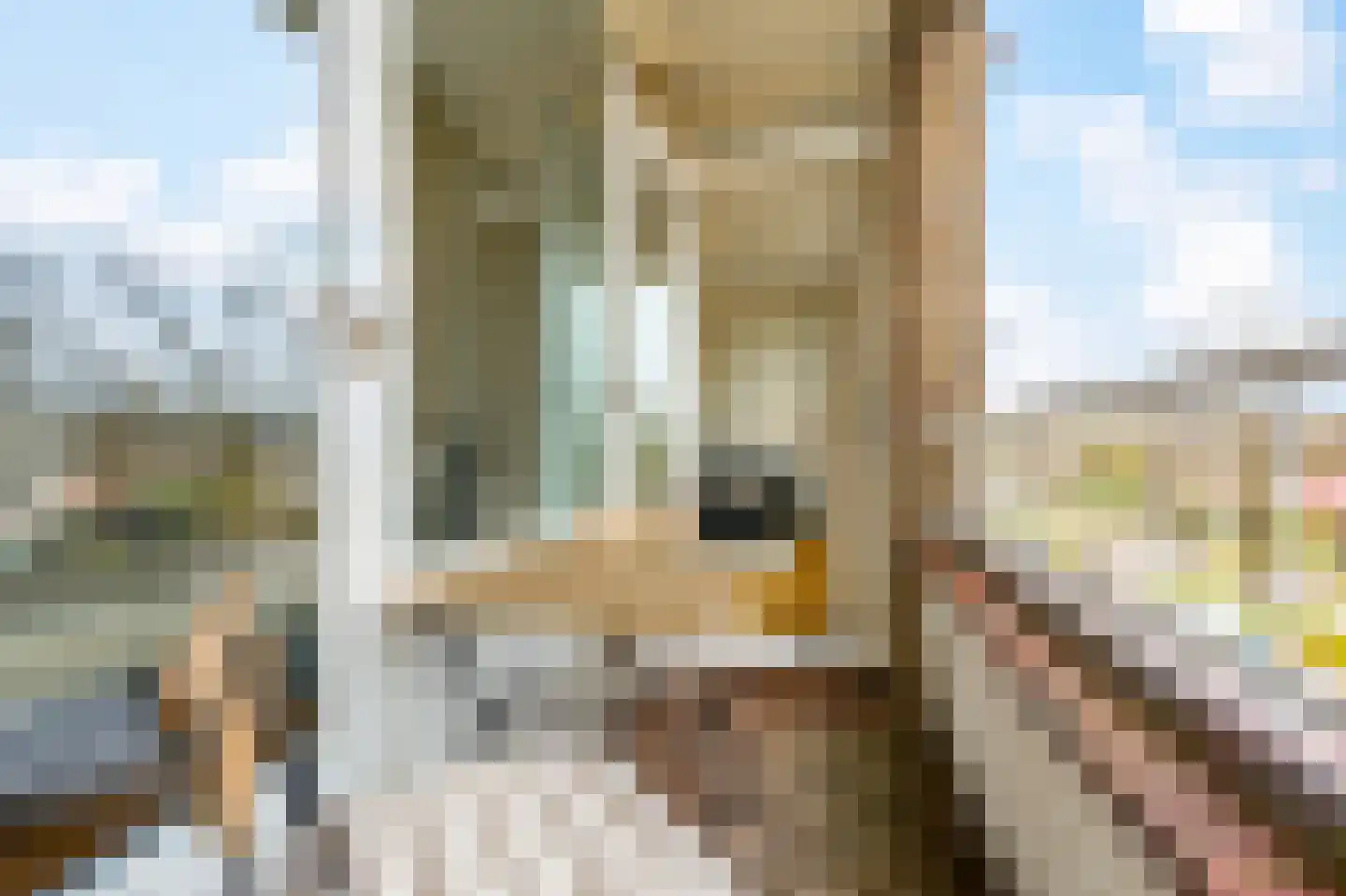 Rembrandtweg 360 Amstelveen thumbnail 21