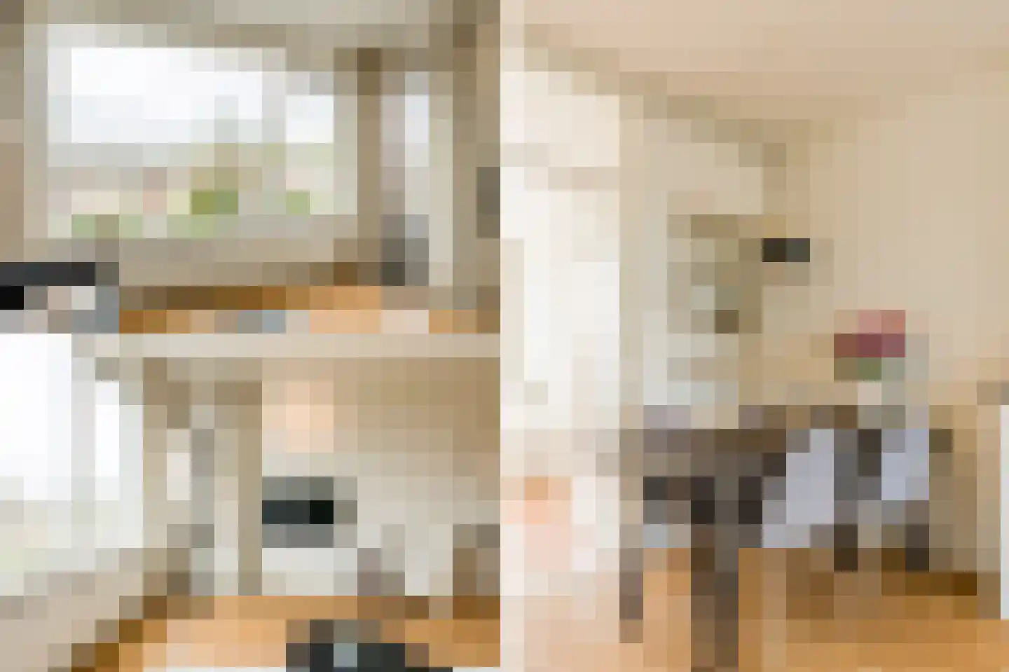 Rembrandtweg 360 Amstelveen thumbnail 6