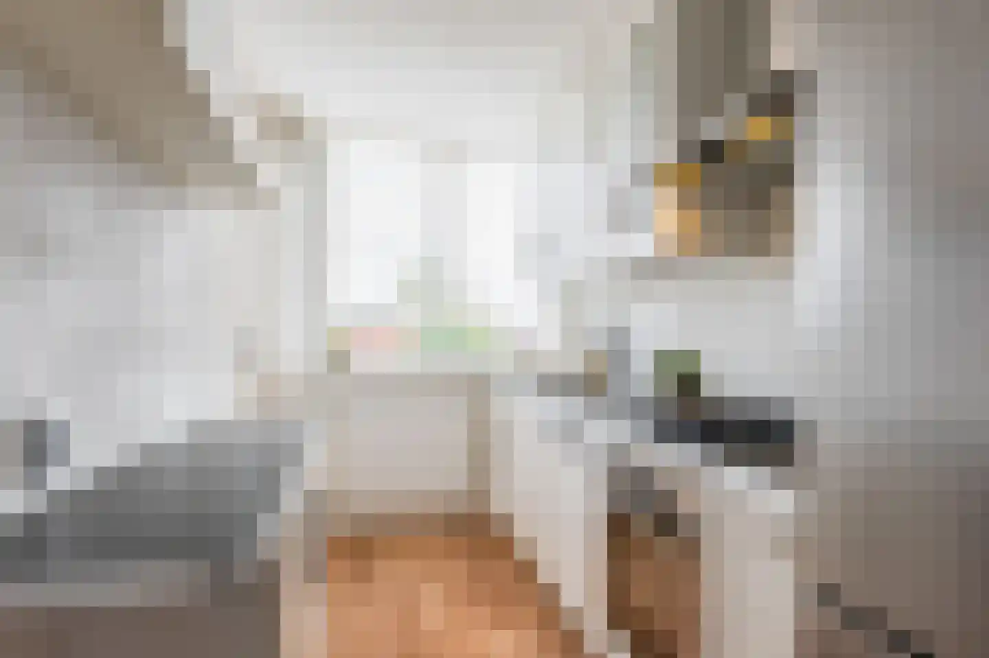 Rembrandtweg 360 Amstelveen thumbnail 9