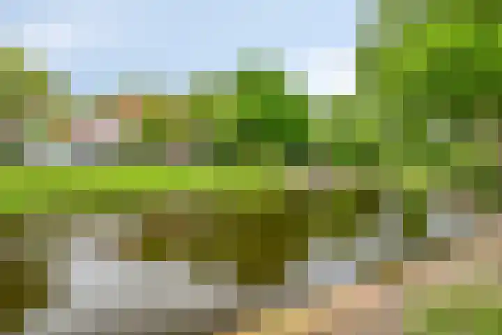 Rembrandtweg 370 Amstelveen thumbnail 21