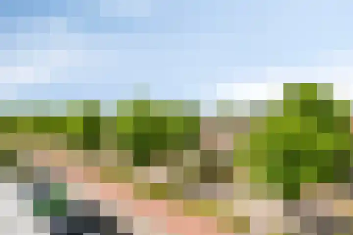 Rembrandtweg 370 Amstelveen thumbnail 5