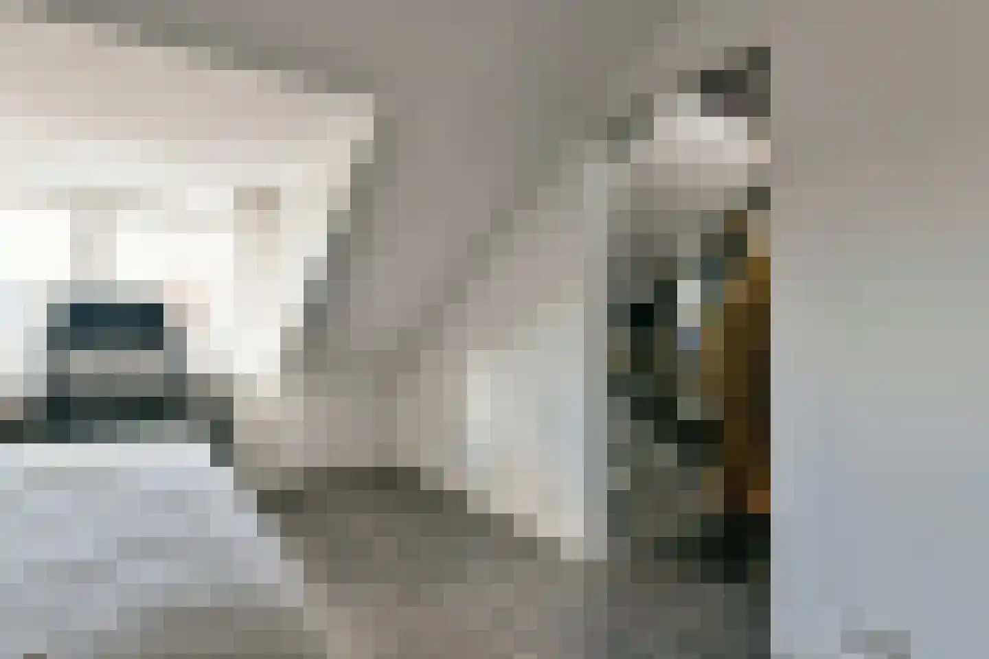 Rembrandtweg 378 Amstelveen thumbnail 15