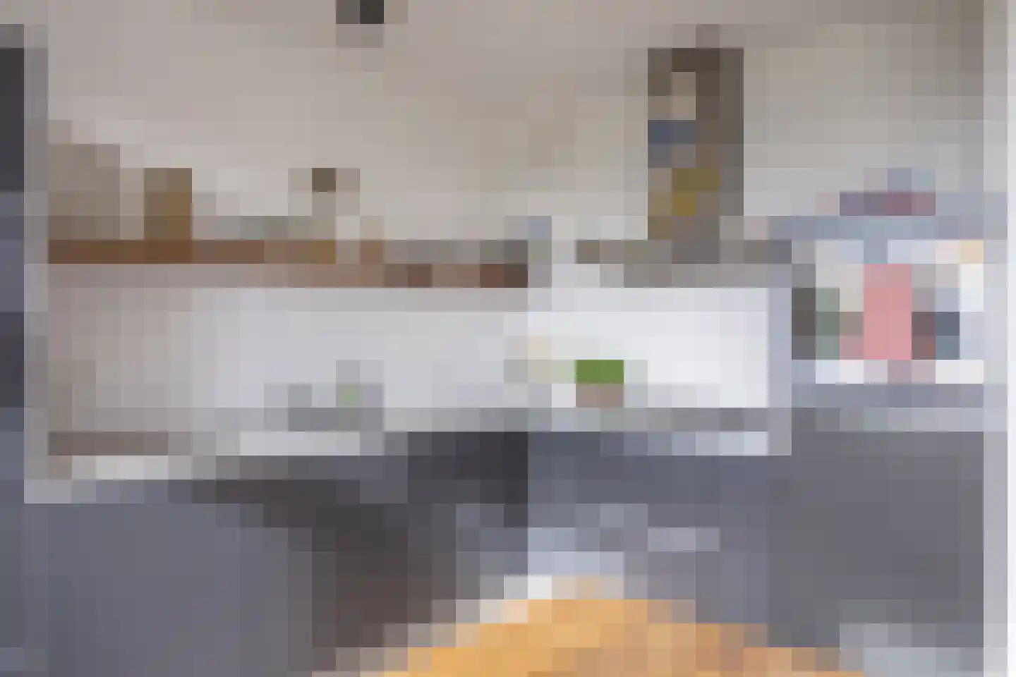 Rembrandtweg 40 Eelde thumbnail 8