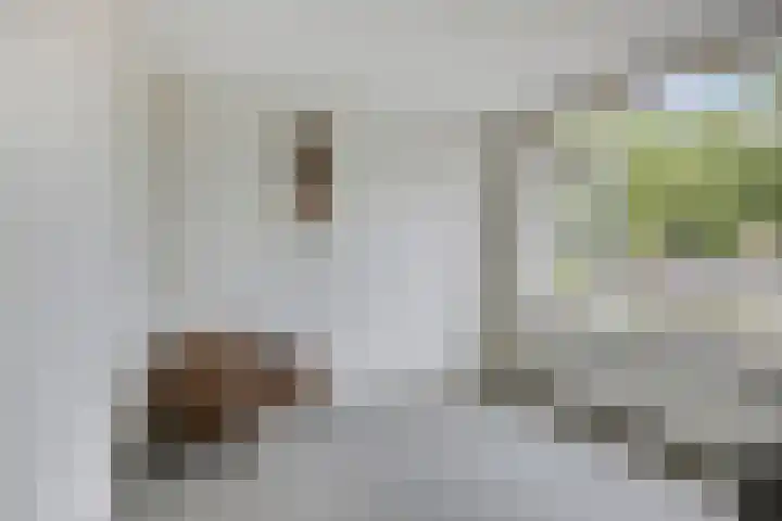 Rembrandtweg 401 Amstelveen thumbnail 10