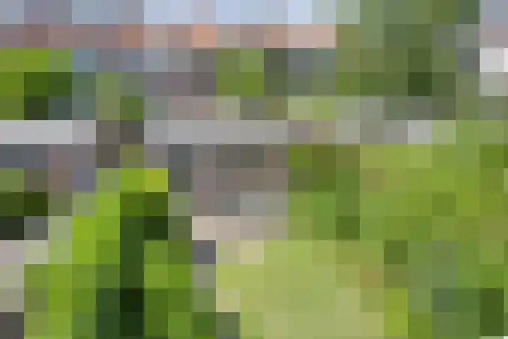 Rembrandtweg 401 Amstelveen thumbnail 17
