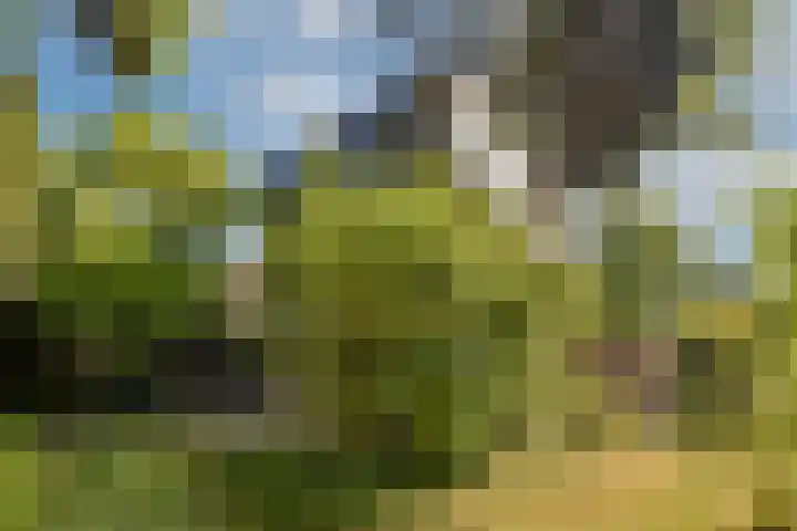 Rembrandtweg 407 Amstelveen thumbnail 12