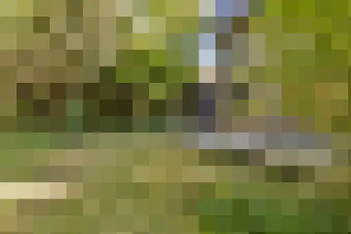 Rembrandtweg 407 Amstelveen thumbnail 13