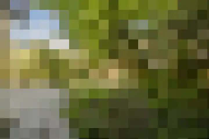 Rembrandtweg 407 Amstelveen thumbnail 14