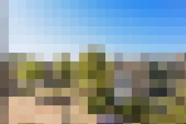 Rembrandtweg 407 Amstelveen thumbnail 33