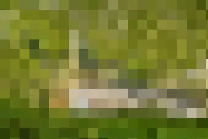 Rembrandtweg 407 Amstelveen thumbnail 37