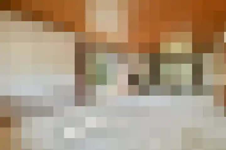Rembrandtweg 407 Amstelveen thumbnail 4