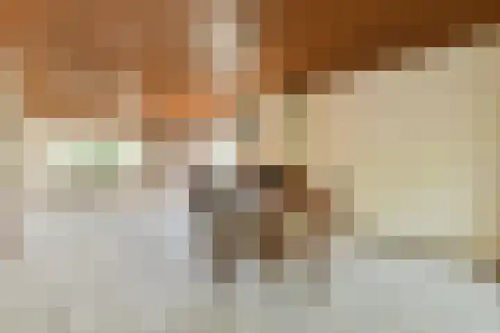 Rembrandtweg 407 Amstelveen thumbnail 5