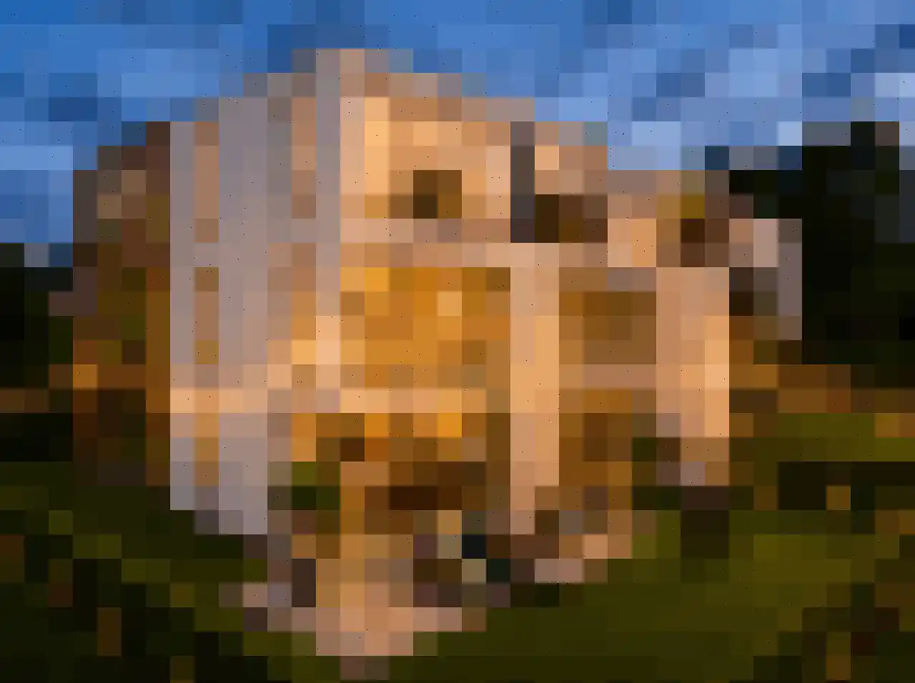Rembrandtweg 409 Amstelveen thumbnail 6
