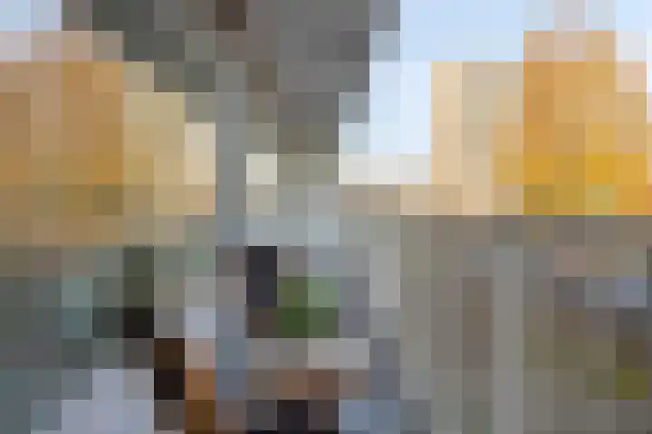 Rembrandtweg 443 Amstelveen thumbnail 6