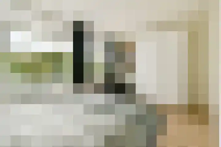 Rembrandtweg 457 Amstelveen thumbnail 19