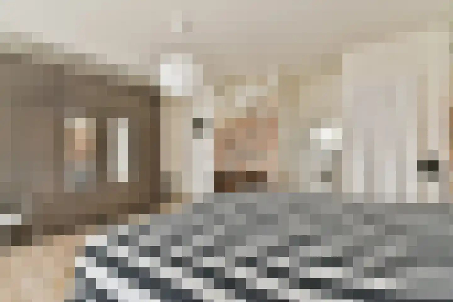 Rembrandtweg 459 Amstelveen thumbnail 10
