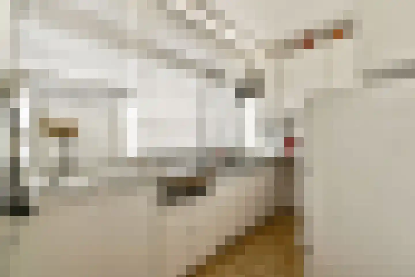 Rembrandtweg 459 Amstelveen thumbnail 7