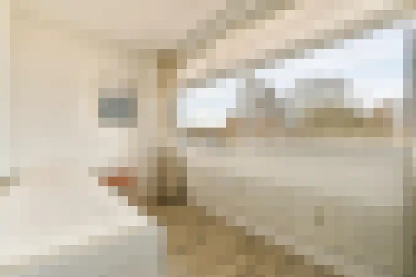 Rembrandtweg 467 Amstelveen thumbnail 19