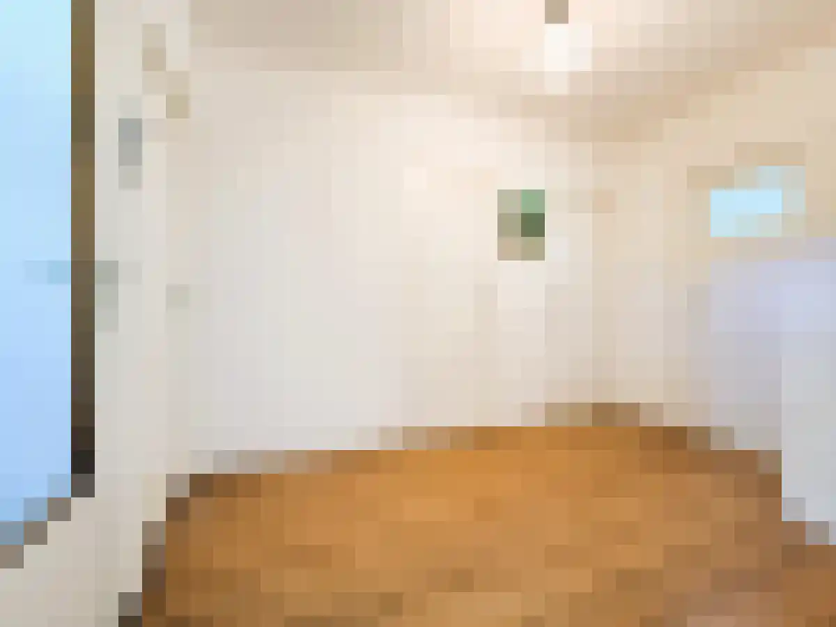 Rembrandtweg 487 Amstelveen thumbnail 4
