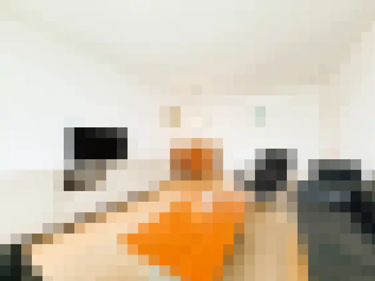 Rembrandtweg 487 Amstelveen thumbnail 6