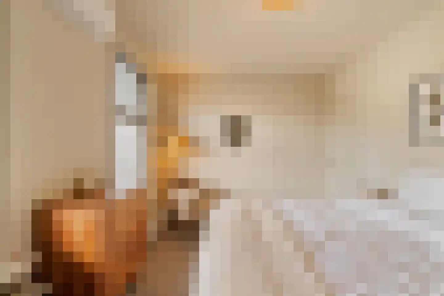 Rembrandtweg 5 Noordwijk thumbnail 31