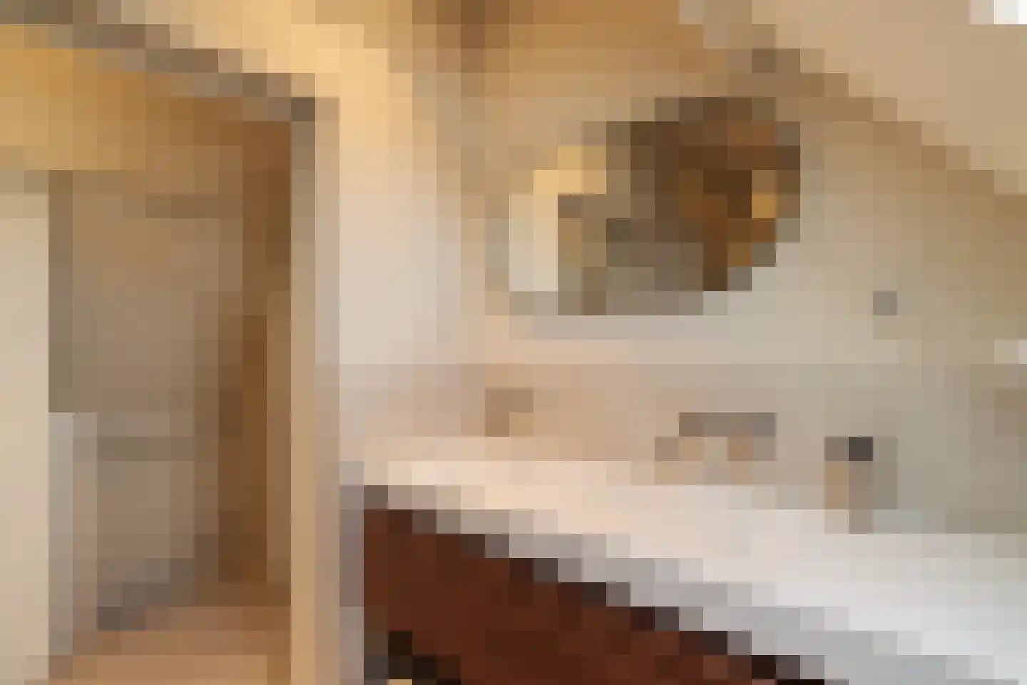 Rembrandtweg 5 Noordwijk thumbnail 33