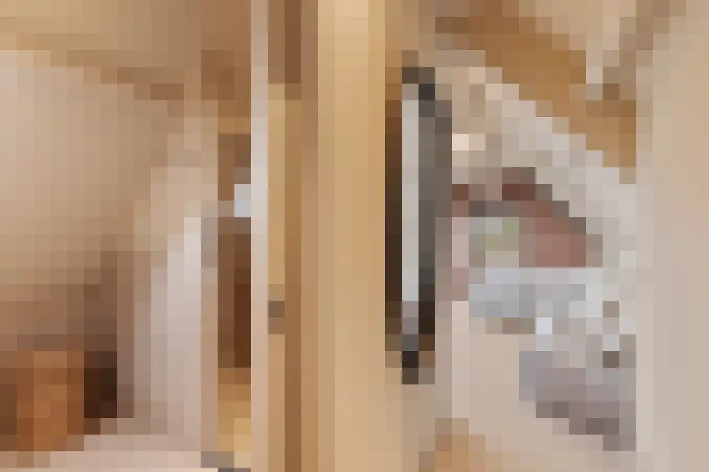Rembrandtweg 5 Noordwijk thumbnail 40