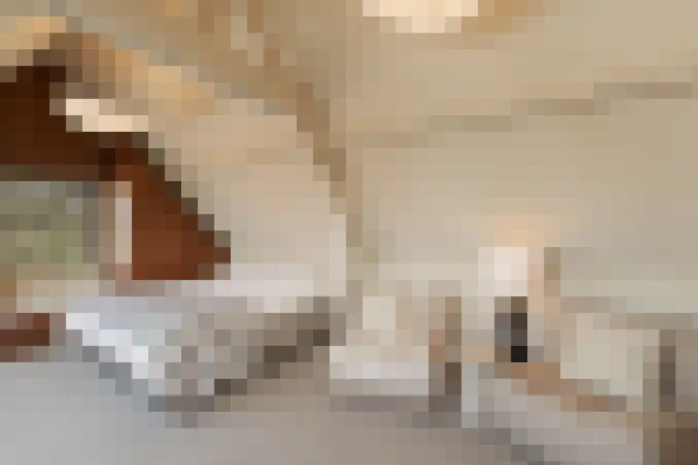 Rembrandtweg 5 Noordwijk thumbnail 42