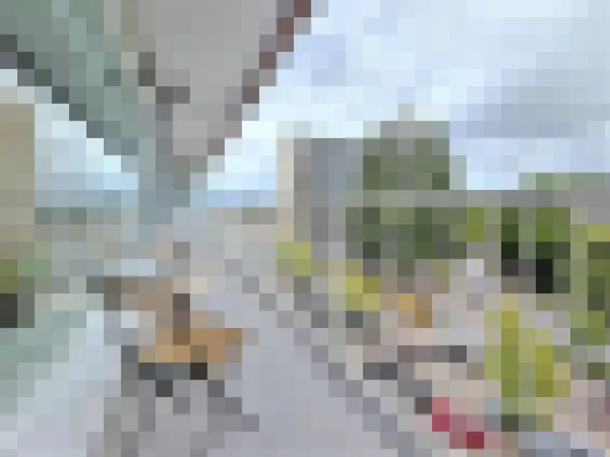 Rembrandtweg 533 Amstelveen thumbnail 5