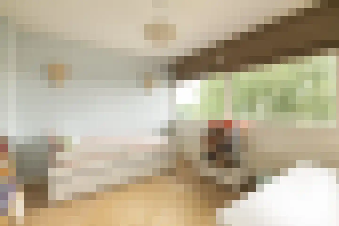Rembrandtweg 559 Amstelveen thumbnail 23