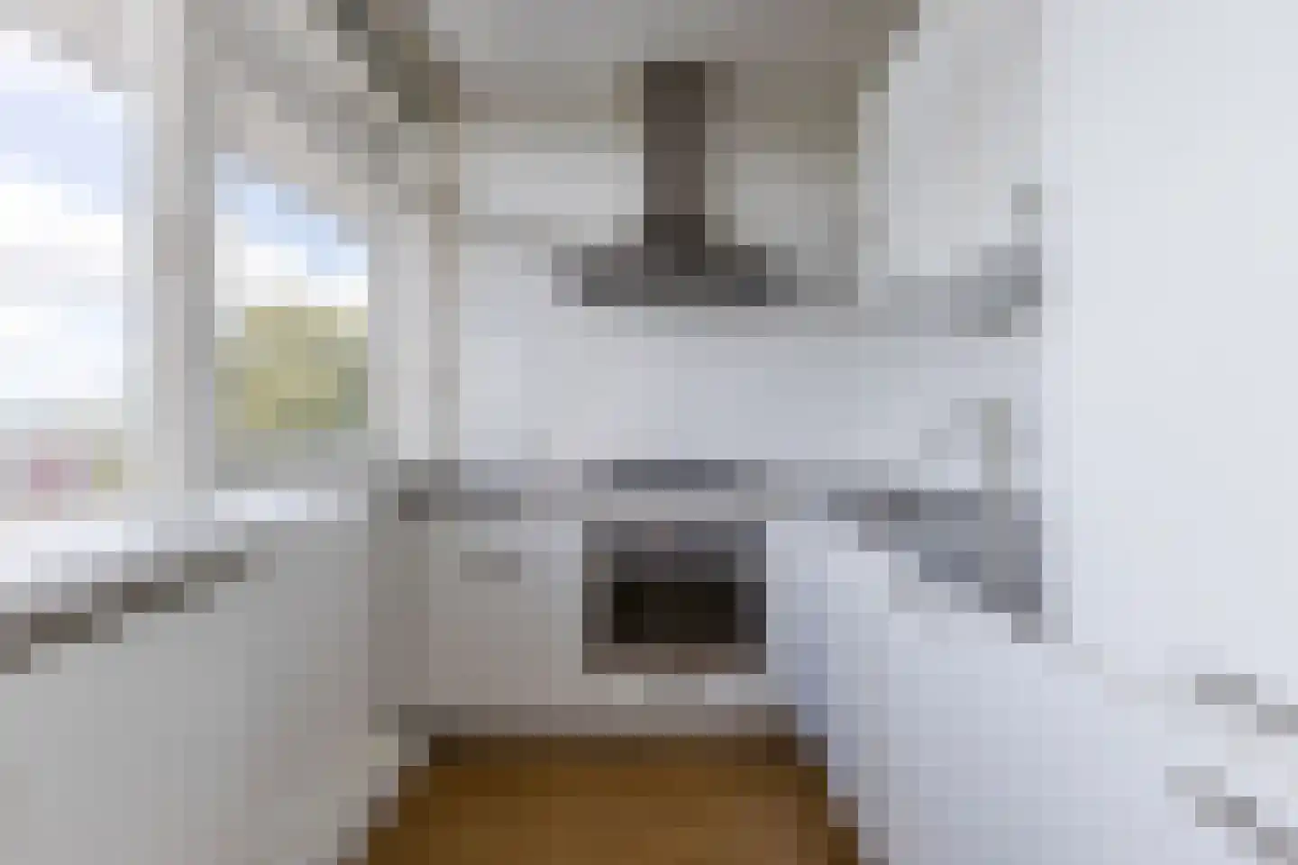 Rembrandtweg 573 Amstelveen thumbnail 4