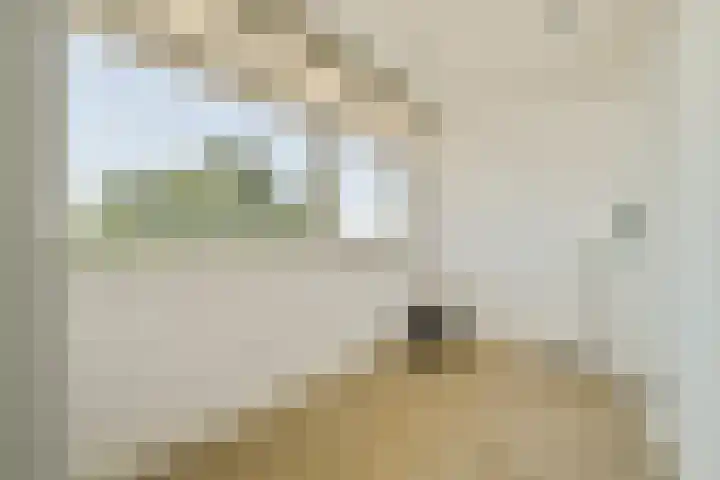 Rembrandtweg 591 Amstelveen thumbnail 15